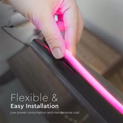 Neon Flex 24V 12W/m roz