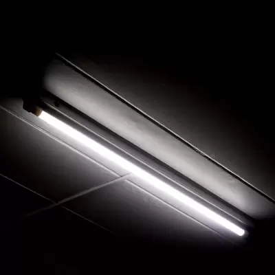 Tub LED T5 8W 60cm Alb rece